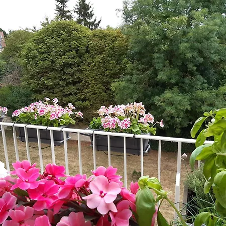 Duplex 105m2 Pour Les Jo 2024 Entre Paris Et Versailles Apartment Marly-le-Roi